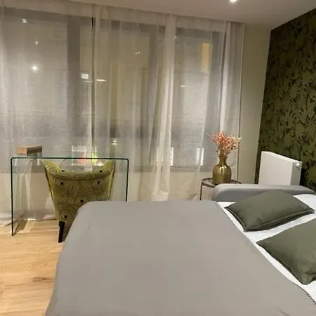 Superbe Studio En Centre-ville Apartment