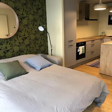 Superbe Studio En Centre-ville Clermont-Ferrand